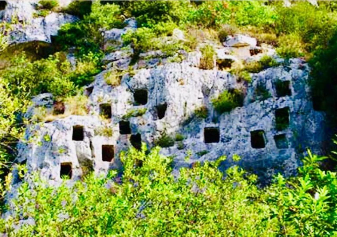 The Stone Garden Apartment Ното Екстериор снимка